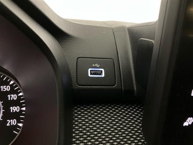 DACIA Jogger usata 18