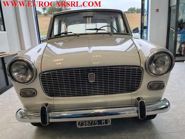 FIAT 1100 usata 1