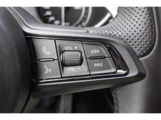 ALFA ROMEO Stelvio usata, con Cruise Control