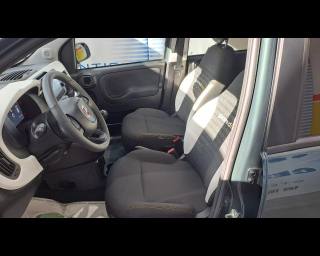FIAT Pandina Cross usata 26