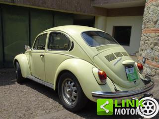VOLKSWAGEN Maggiolone usata 24