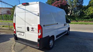 FIAT Ducato usata 12