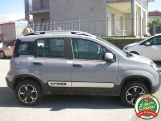 FIAT Panda Cross usata, con Controllo trazione