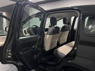 FIAT Panda usata, con Cronologia tagliandi
