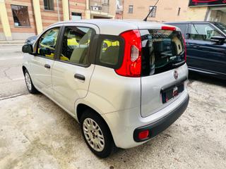 FIAT Panda usata, con Controllo trazione