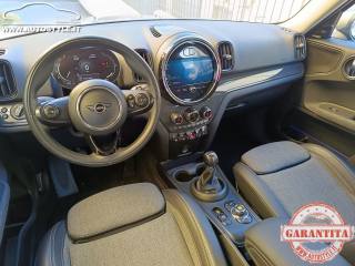 MINI Countryman usata, con Fari bi-xeno