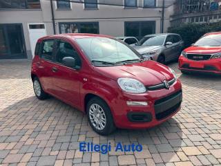 FIAT Pandina usata, con Alzacristalli elettrici