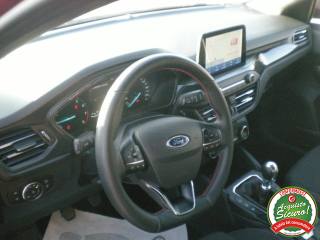 FORD Focus usata 14