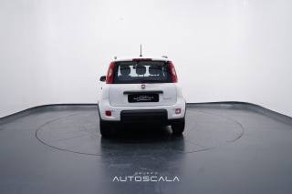 FIAT New Panda usata, con Autoradio