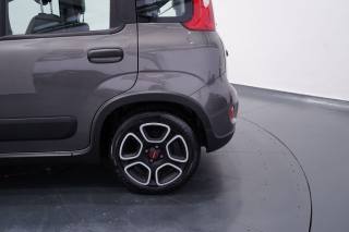 FIAT New Panda usata 24