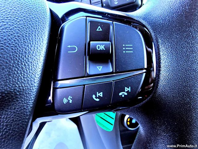 FORD Fiesta usata, con Filtro antiparticolato
