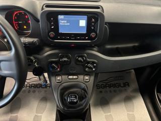 FIAT Panda usata, con Cronologia tagliandi