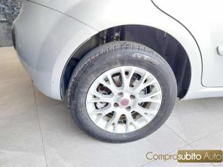 FIAT Punto Evo usata 17