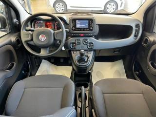 FIAT Panda usata, con Chiusura centralizzata telecomandata