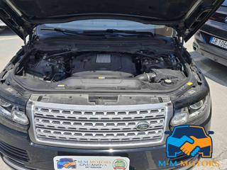 LAND ROVER Range Rover usata, con Cronologia tagliandi
