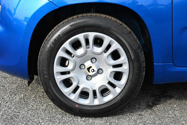 FIAT Panda usata, con Cruise Control