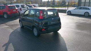 FIAT Panda usata, con Boardcomputer