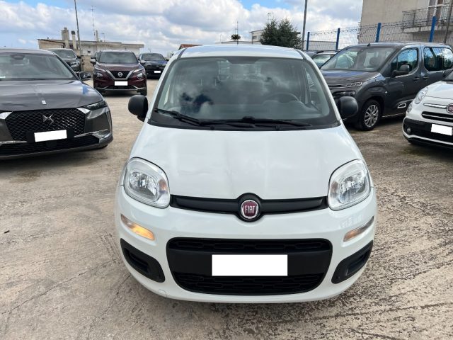 FIAT Panda usata 2