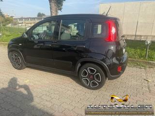 FIAT Panda usata, con Airbag Passeggero