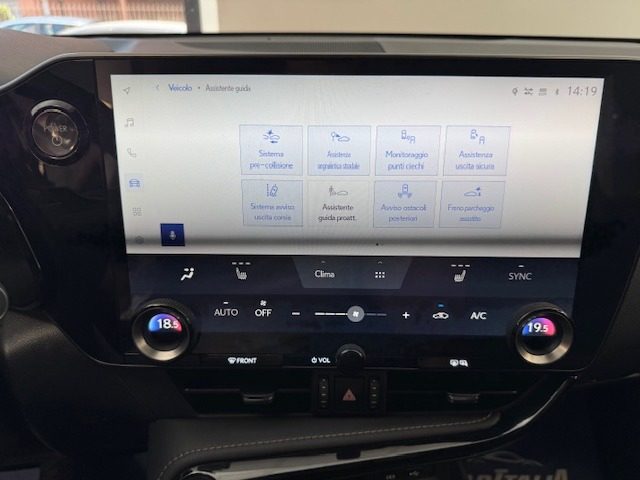 LEXUS NX 300h usata, con Cruise Control
