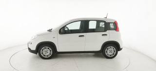 FIAT Panda usata, con Alzacristalli elettrici