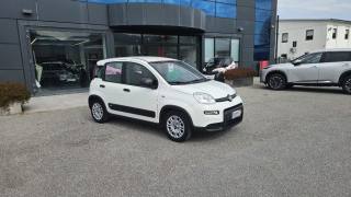 FIAT Panda usata, con Airbag