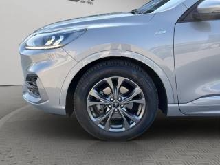 FORD Kuga usata, con Filtro antiparticolato