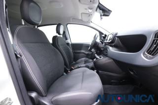 FIAT Panda Cross usata 39