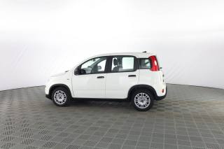 FIAT Panda usata 5