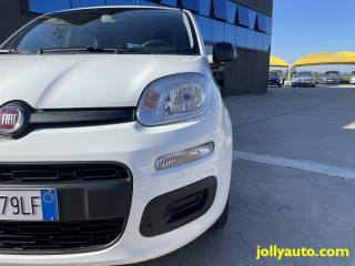 FIAT Panda usata 15