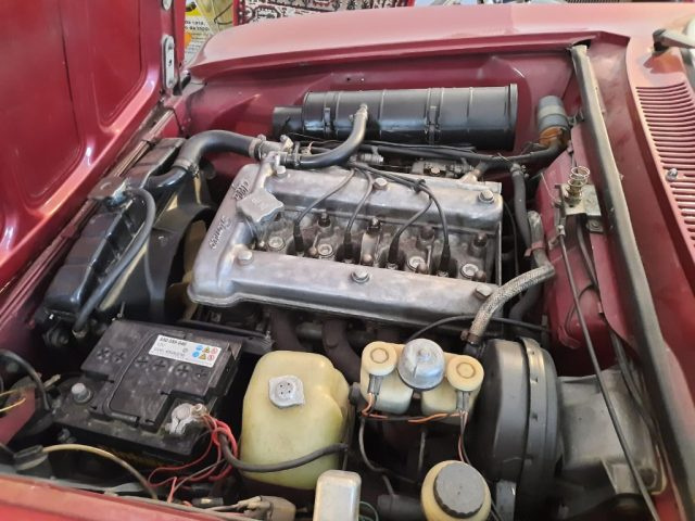 ALFA ROMEO GT usata 24