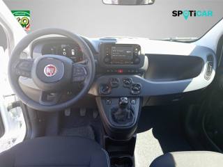 FIAT Pandina usata, con ESP