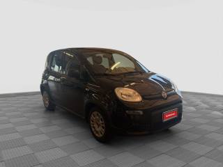 FIAT Panda usata 7