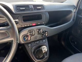 FIAT Panda usata 12