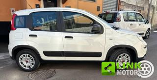 FIAT Panda usata, con Airbag laterali