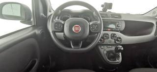 FIAT Panda usata 33