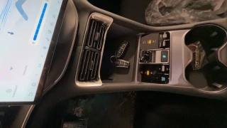 BYD Seal usata, con Bracciolo