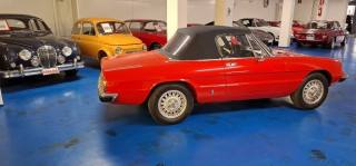 ALFA ROMEO Spider usata 19