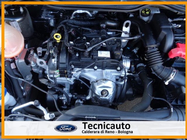 FORD Fiesta usata, con Riconoscimento dei segnali stradali