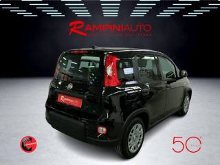 FIAT Panda usata 6