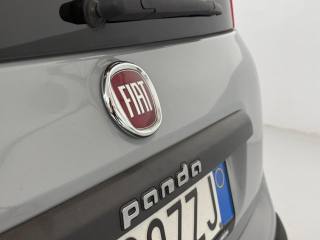 FIAT Panda usata 13