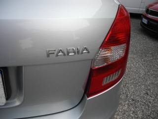 SKODA Fabia usata 55