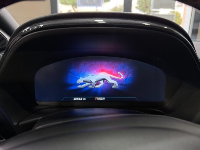 FORD Puma usata, con Fendinebbia