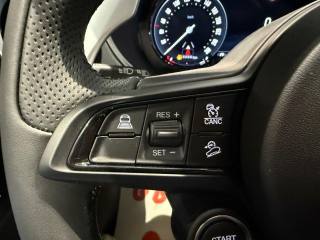 ALFA ROMEO Stelvio usata, con Immobilizzatore elettronico