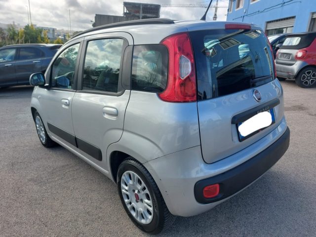 FIAT Panda usata 6