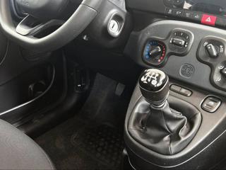FIAT Panda usata, con Fari direzionali