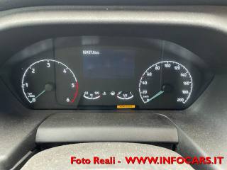 FORD Transit usata, con Servosterzo