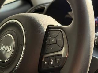 JEEP Renegade usata, con Interni in pelle