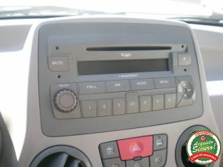 FIAT Panda usata 17