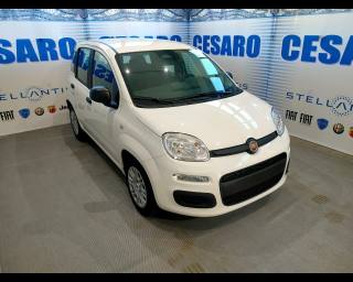FIAT New Panda 1.0 firefly hybrid s&s 70cv 5p.ti-RADIO BLUETOOTH